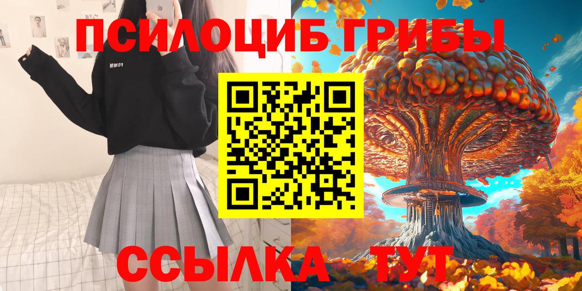 Псилоцибиновые грибы Cubensis Бугуруслан